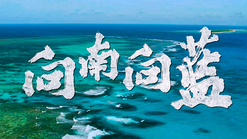 《向南 向藍(lán)》——南部戰(zhàn)區(qū)海軍新媒體宣傳片